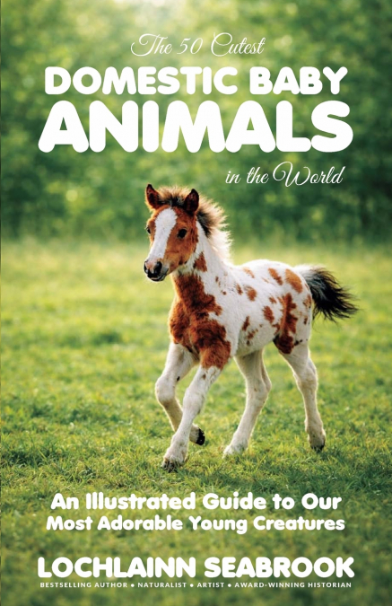 The 50 Cutest Domestic Baby Animals in the World