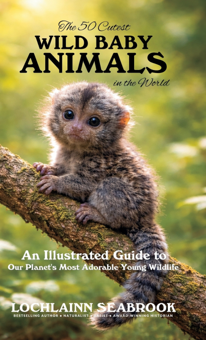 The 50 Cutest Wild Baby Animals in the World