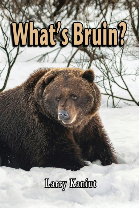 What’s Bruin?