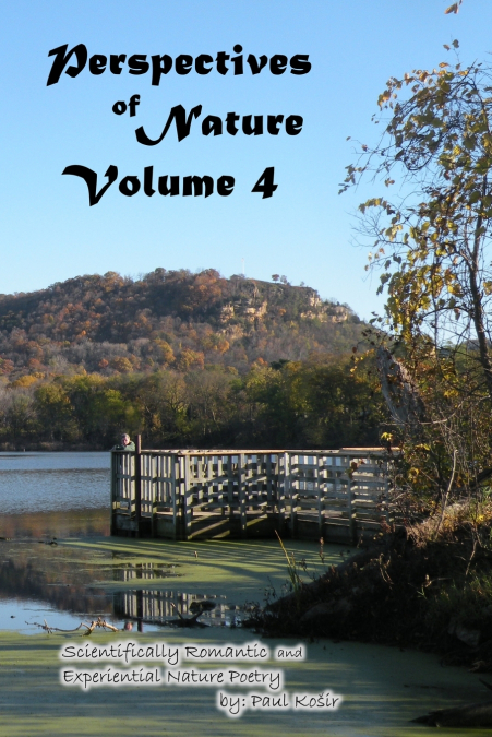 Perspectives of Nature Volume 4