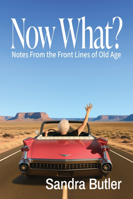 Now What? Notes From the Front Lines of Old Age