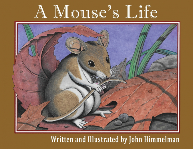 A Mouse’s Life