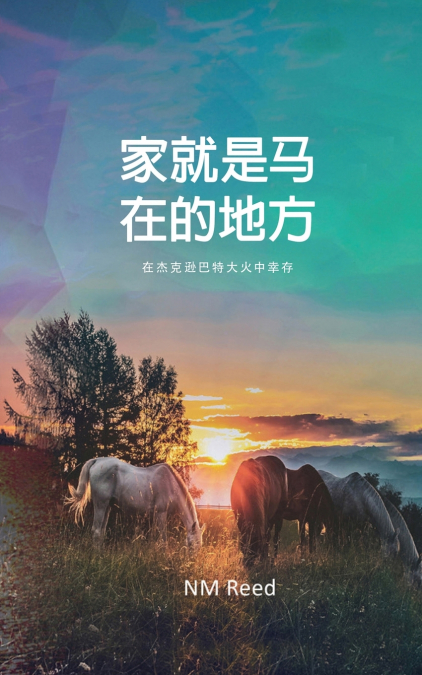 Home Is Where the Horse Is (Chinese Edition)