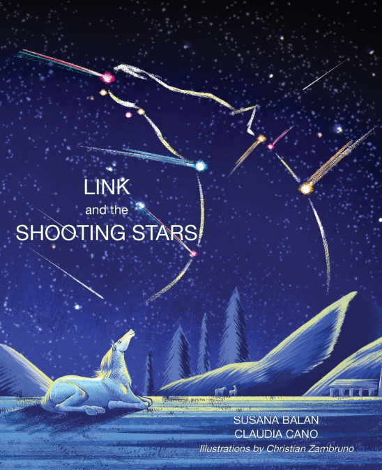 Link and the Shooting Stars