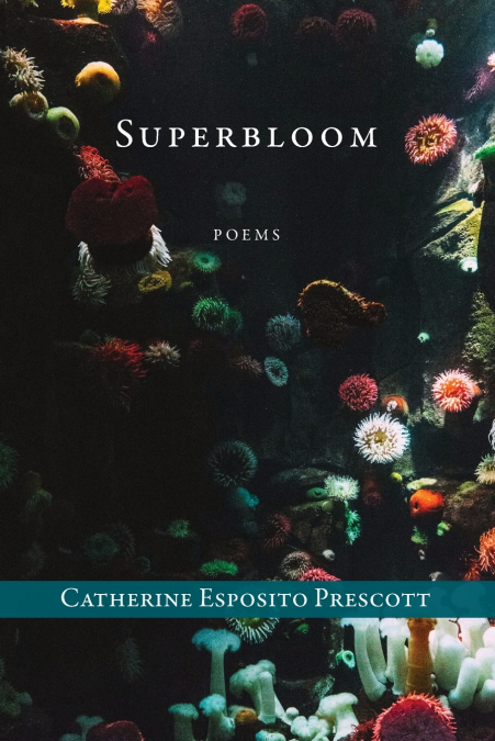 Superbloom
