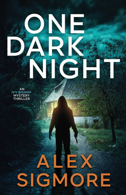 One Dark Night