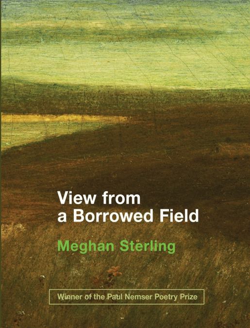 View from a Borrowed Field