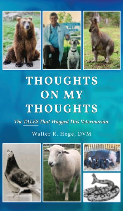 Thoughts On My Thoughts
