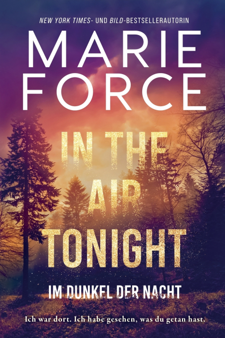 In the Air tonight - Im Dunkel der Nacht