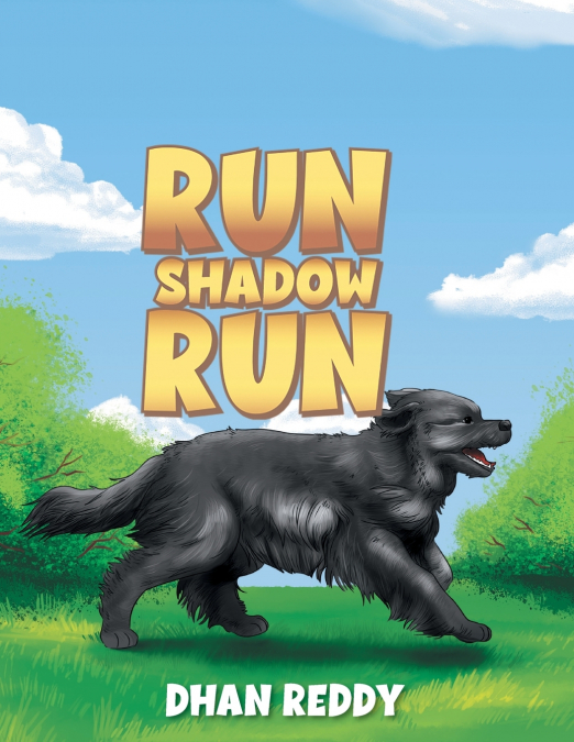 Run Shadow Run