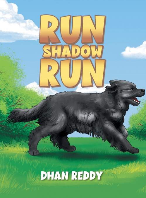 Run Shadow Run