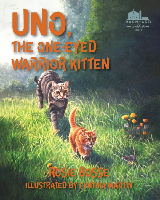 Uno the One-Eyed Warrior Kitten