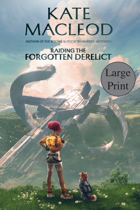 Raiding the Forgotten Derelict