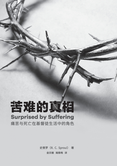 苦难的真相（简体中文版）Surprised by suffering(Simplified Chinese Edition)