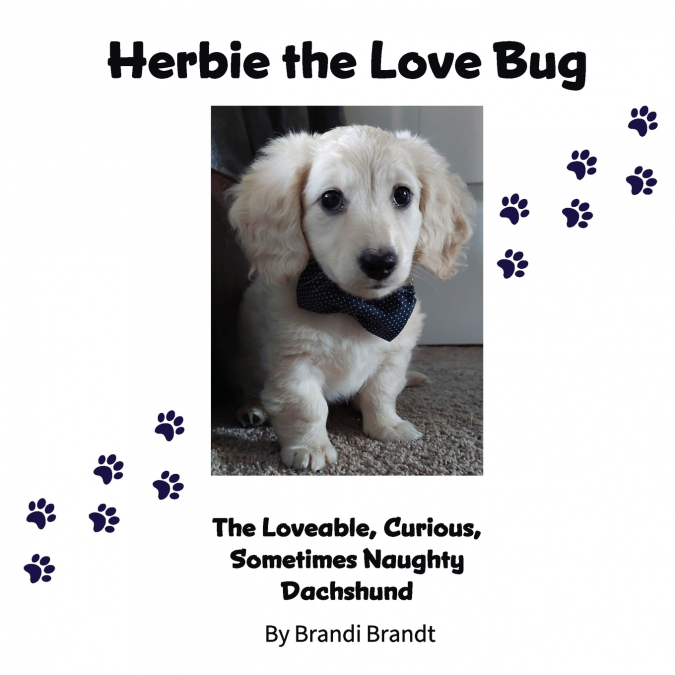 Herbie the Love Bug