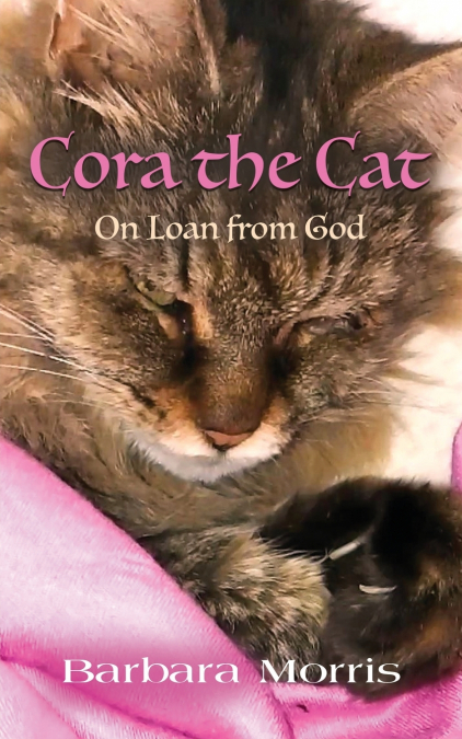 Cora the Cat