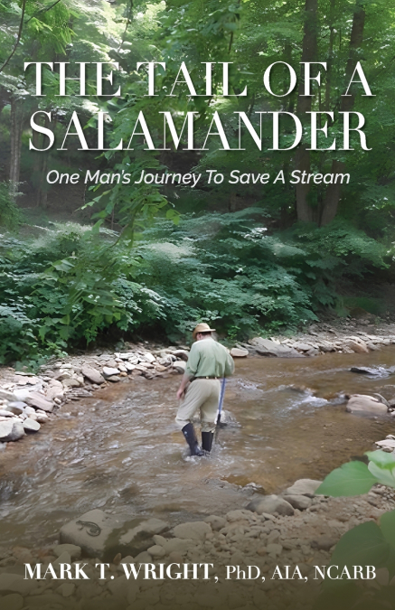The Tail of the Salamander