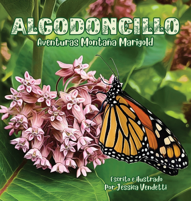 Algodoncillo