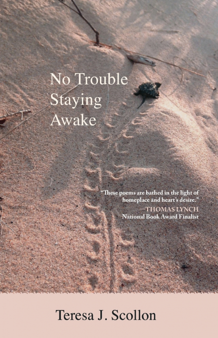 No Trouble Staying Awake