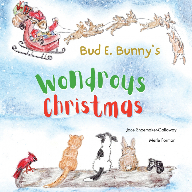Bud E. Bunny’s Wondrous Christmas