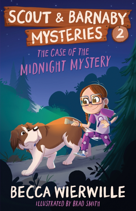 The Case of the Midnight Mystery
