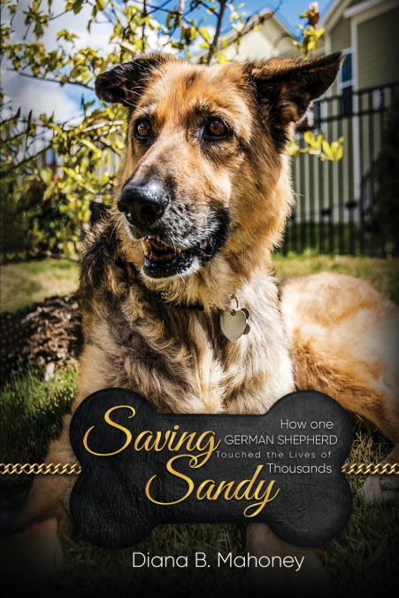 Saving Sandy