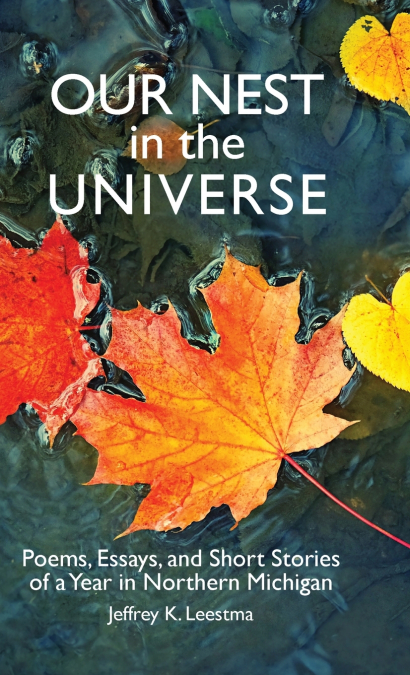 Our Nest in the Universe