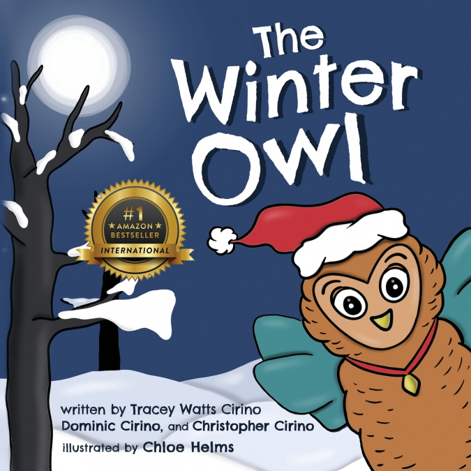 The Winter Owl