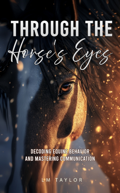 Through the Horse’s Eyes, For Beginners