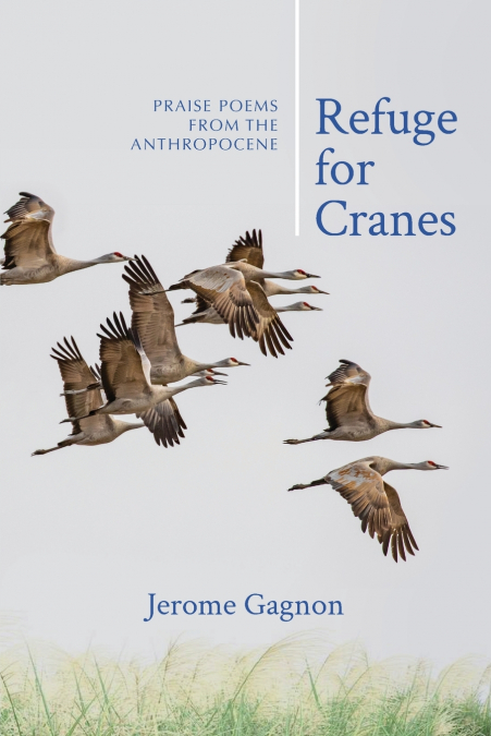 Refuge for Cranes