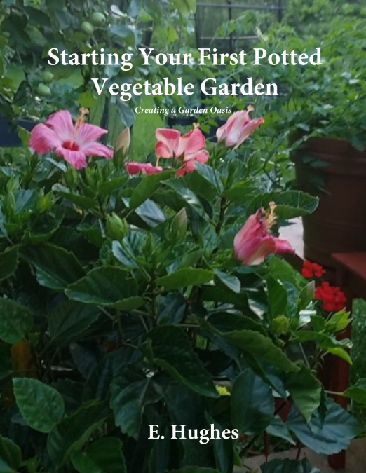 Starting Your First Potted Vegetable Garden