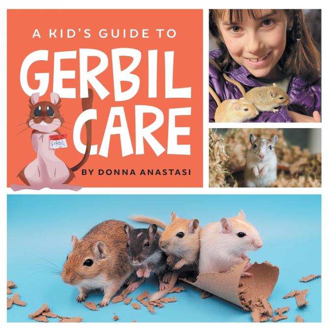 A Kid’s Guide to Gerbil Care