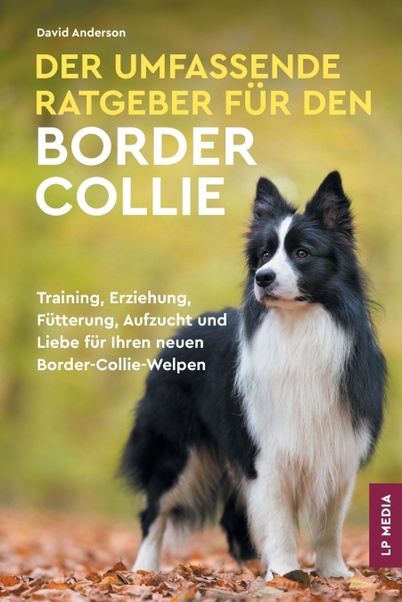Der Umfassende Ratgeber Für Den Border Collie