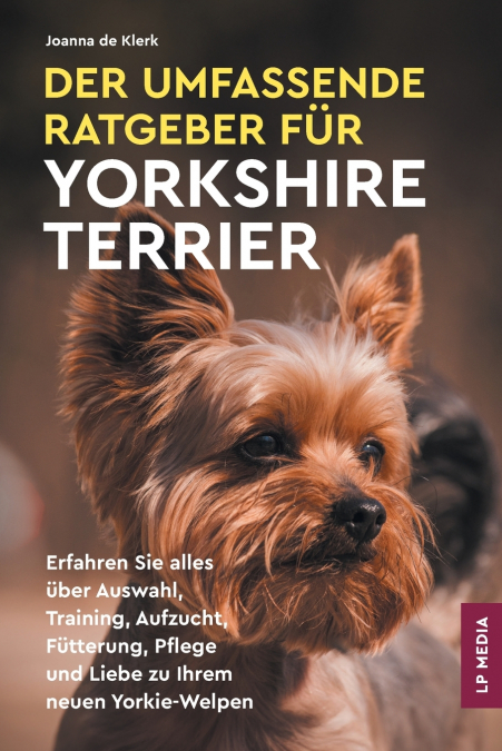 Der Umfassende Ratgeber Für Yorkshire Terrier