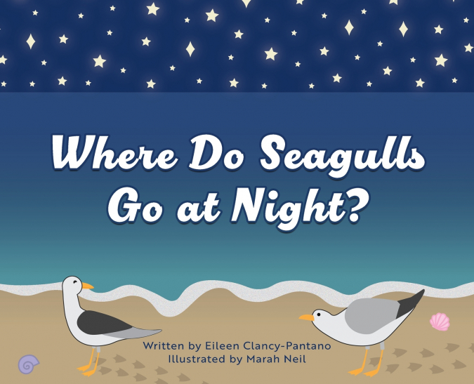 Where Do Seagulls Go at Night?