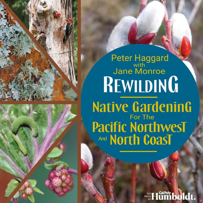Rewilding
