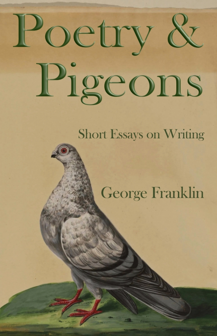 Poetry & Pigeons