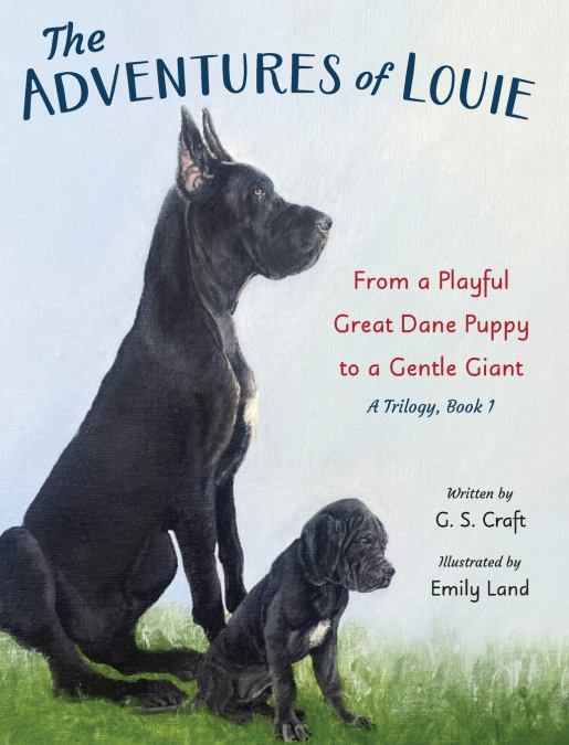 The Adventures of Louie