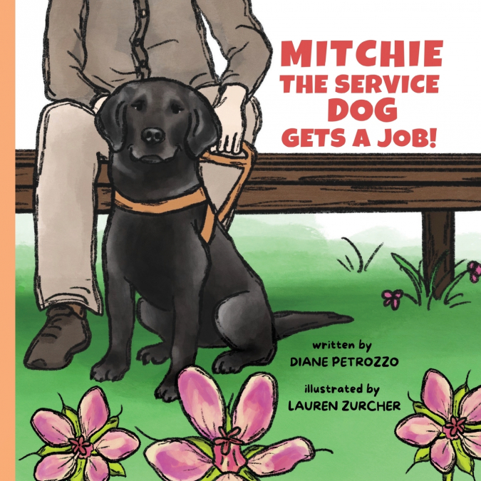 Mitchie the Service Dog Gets a Job!