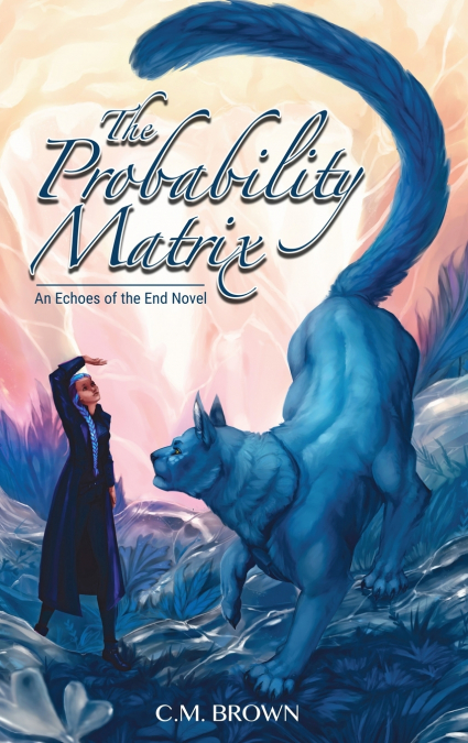 The Probability Matrix