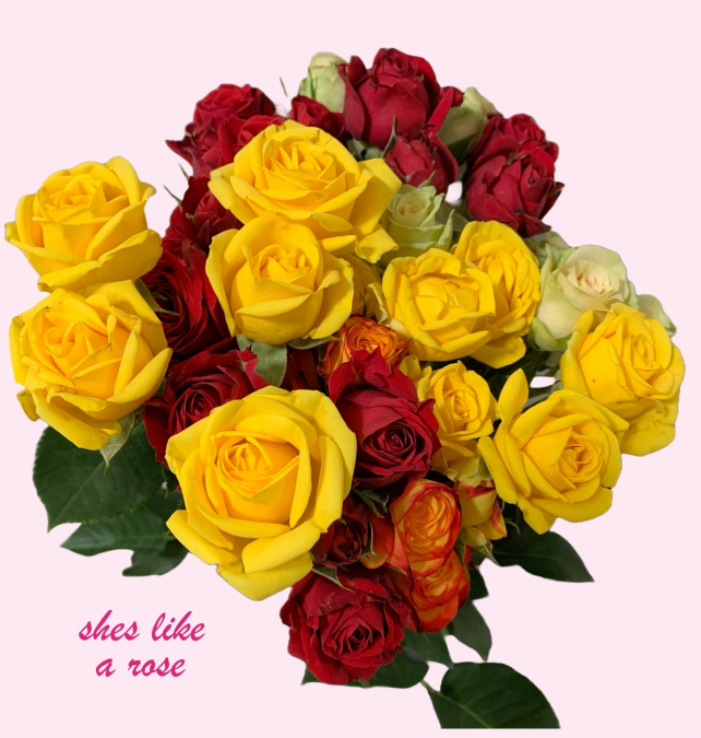 She’s Like A Rose