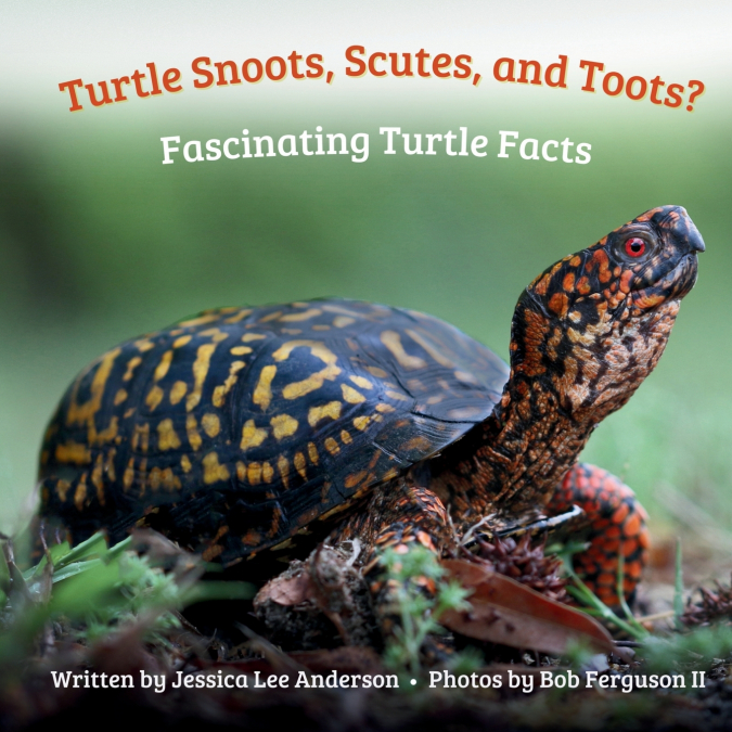 Turtle Snoots, Scutes, and Toots? Fascinating Turtle Facts