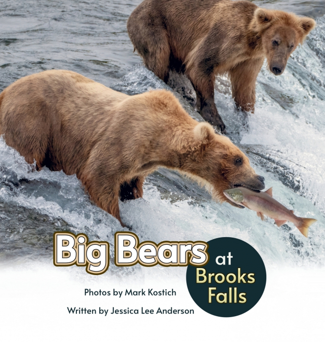 Big Bears at Brooks Falls
