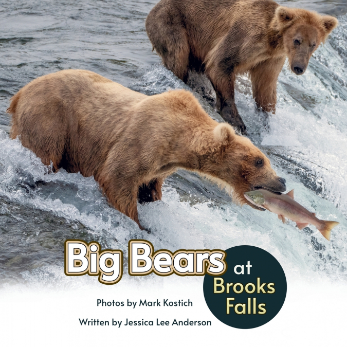 Big Bears at Brooks Falls