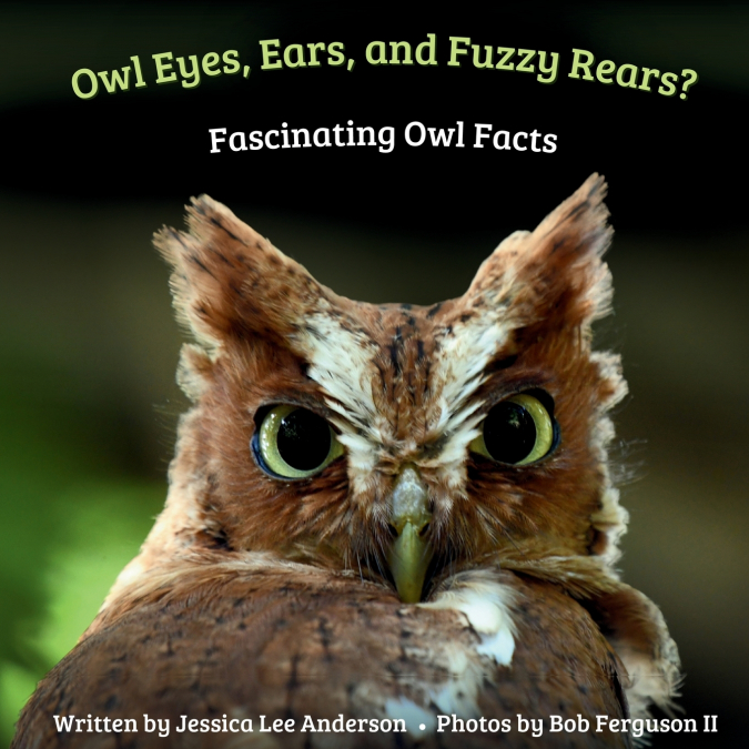 Owl Eyes, Ears, and Fluffy Rears?