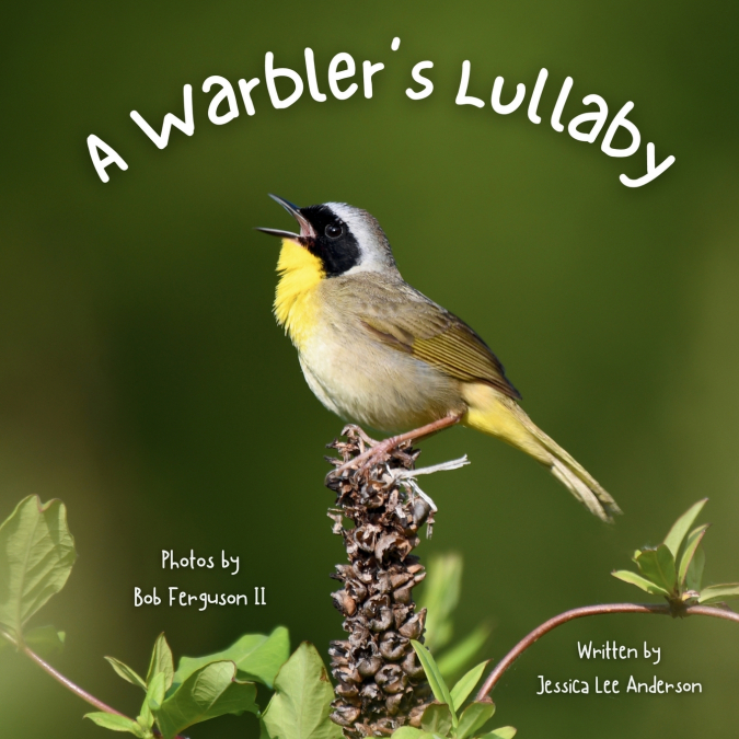 A Warbler’s Lullaby
