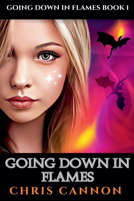 Going Down In Flames