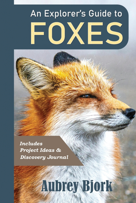 An Explorer’s Guide to Foxes