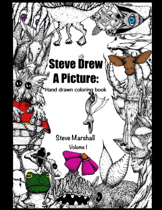 Steve Drew a Picture