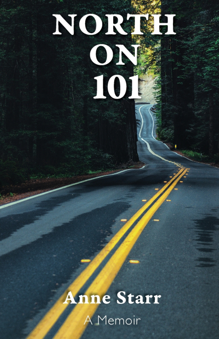 North on 101
